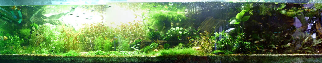Panorama2f.jpg