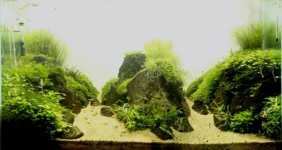 aquarium.php.jpg