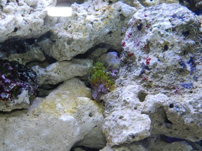 DSCN0168.JPG