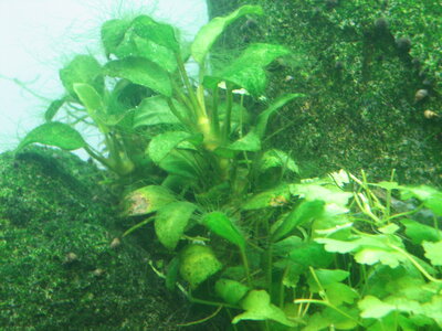 IMG_8662.JPG