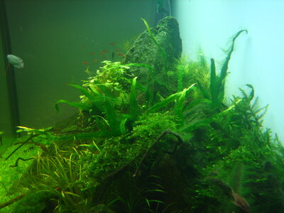 IMG_8663.JPG