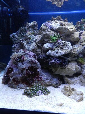 DSCN0206.JPG