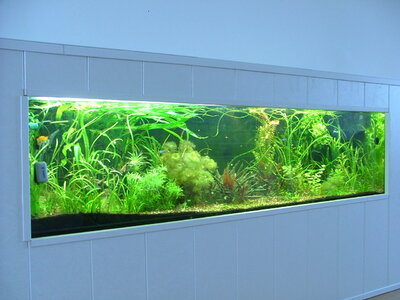 DSCF5726.JPG