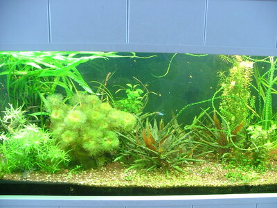 DSCF5728.JPG