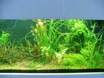 DSCF5729.JPG