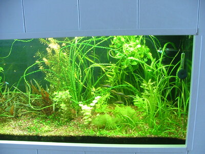 DSCF5730.JPG