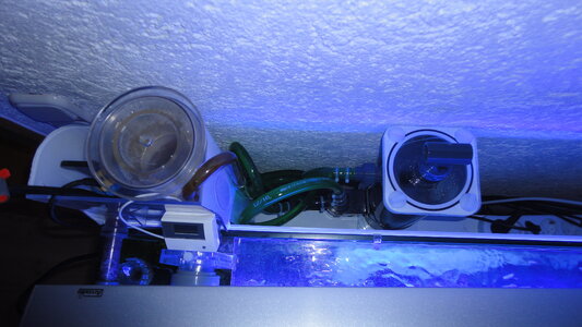 DSC06208.JPG
