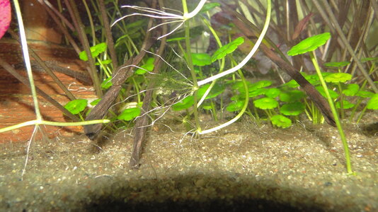 DSC08489.JPG