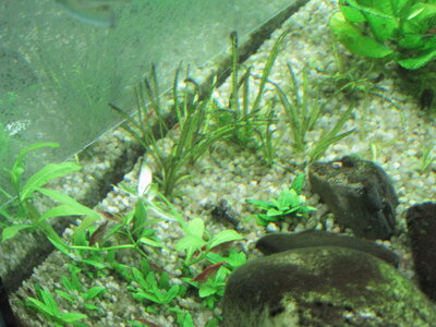 IMG_3440.jpg