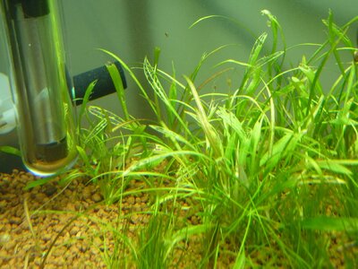 P1050711.JPG