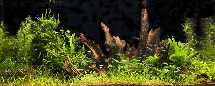120107-Aqua4.jpg