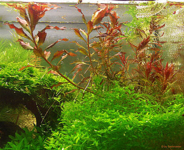 PICT020122.jpg