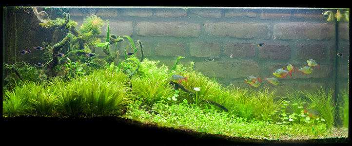 MK6_20120116_2077.jpg
