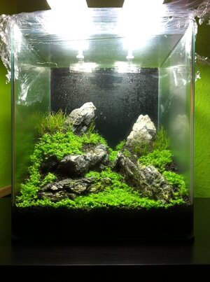 Aquascape-Drystart 04.JPG