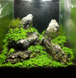 Aquascape-Drystart 03.jpg