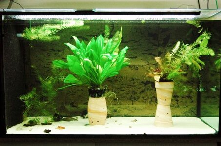 led 600x398.jpg