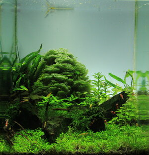 frontal_2012_01_24_0392.jpg