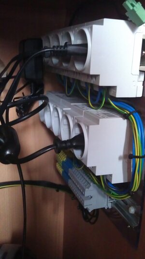 IMAG0010.jpg