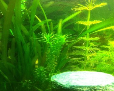 Foto 4 (2).JPG
