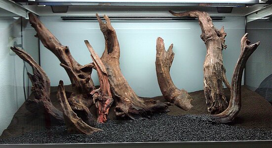 WP_000038 (2).jpg