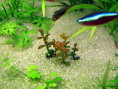 IMG_3475.jpg