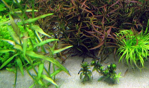IMG_3478.jpg