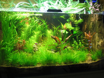 Aqua 450l 036.jpg