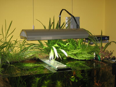 Aqua 450l 038.jpg