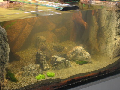 aqua 450l 004.jpg