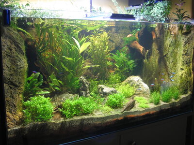 aqua 450l 018 1lo.jpg