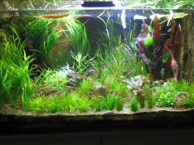 Aqua 450l 031 2lo.jpg