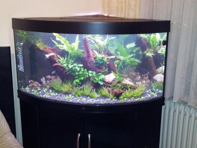 2012-01-28 17.41.34.jpg