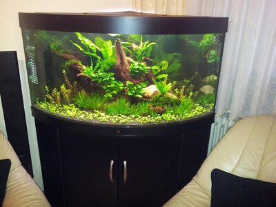 2012-02-12 16.38.58.jpg