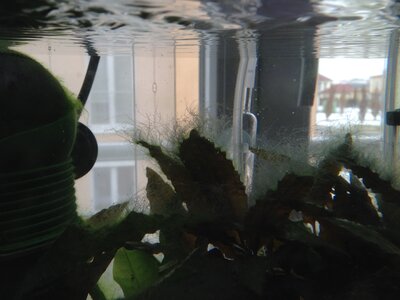 Foto 7.JPG