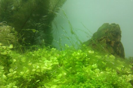 IMAG0032.jpg