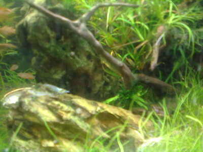 26022012119.jpg