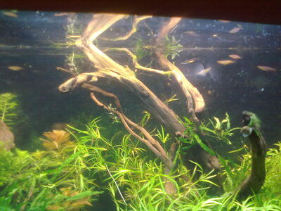 26022012118.jpg