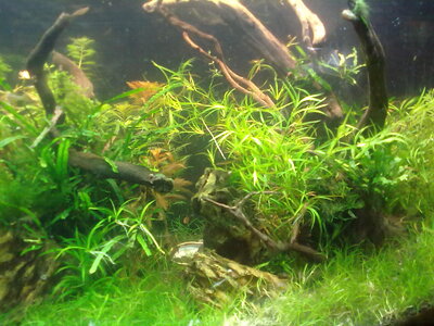 26022012117.jpg