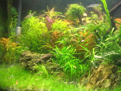 26022012116.jpg