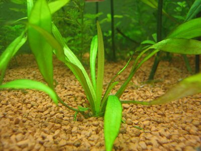 IMG_0250be.jpg