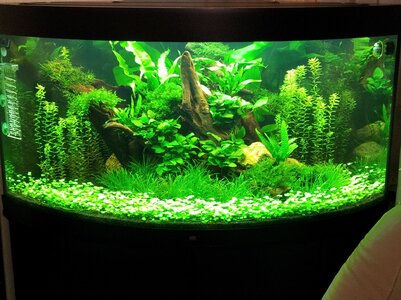 2012-03-12 19.54.40.jpg