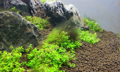 2012-03-18 12.07.38.jpg
