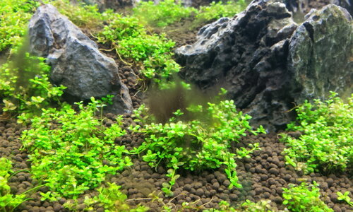 2012-03-18 12.07.32.jpg