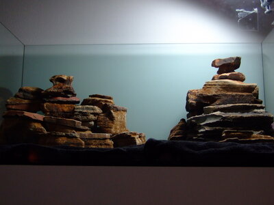 DSCF7547.JPG