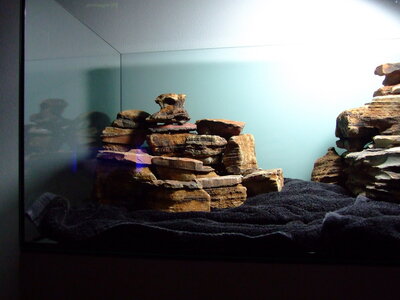 DSCF7550.JPG