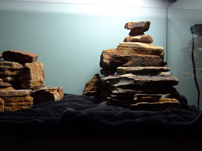 DSCF7551.JPG