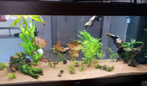 2012-03-27 18.14.43.jpg