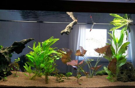 2012-03-27 18.14.03.jpg