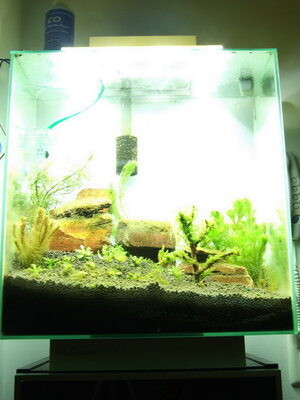 DSCF7639.JPG