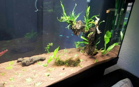 2012-03-30 18.24.32.jpg